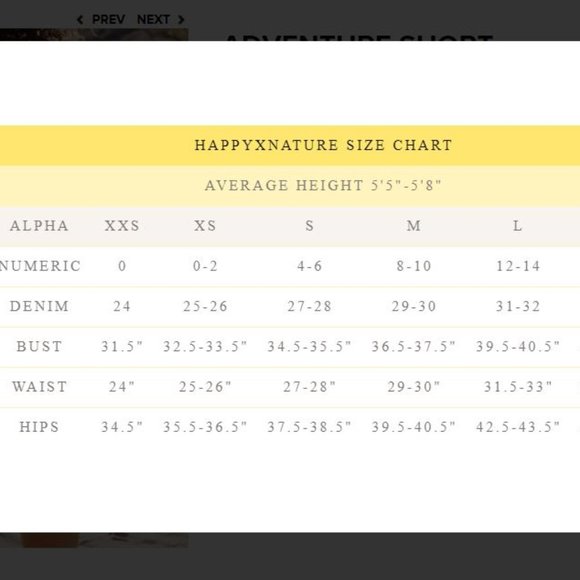 NY&CO Happy Nature Ecru Adventure Shorts 163H-165H - Picture 5 of 5